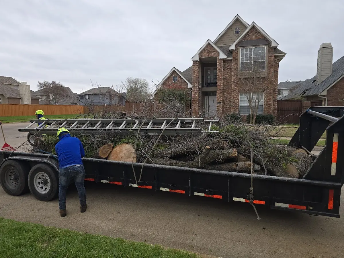 Expert Lot Clearing with proper safety equipment in Flora